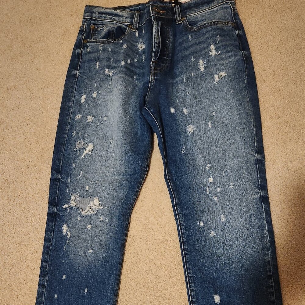 Pistola Distressed Jeans Size 29